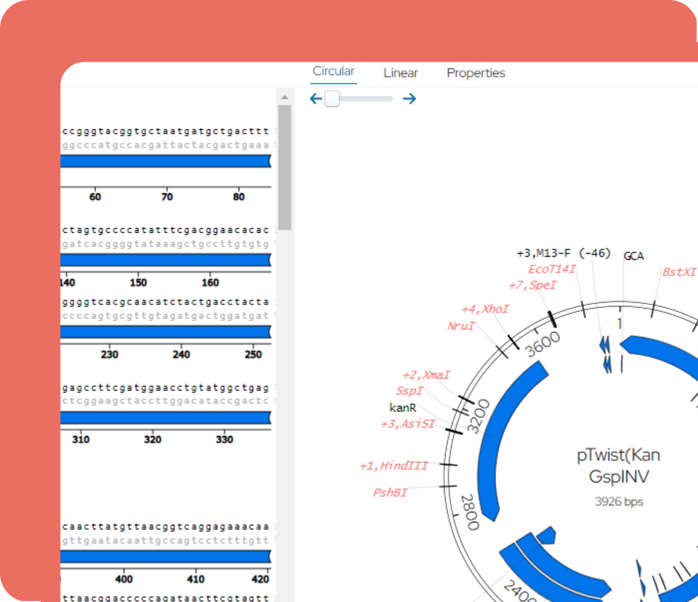 molecular biology tools