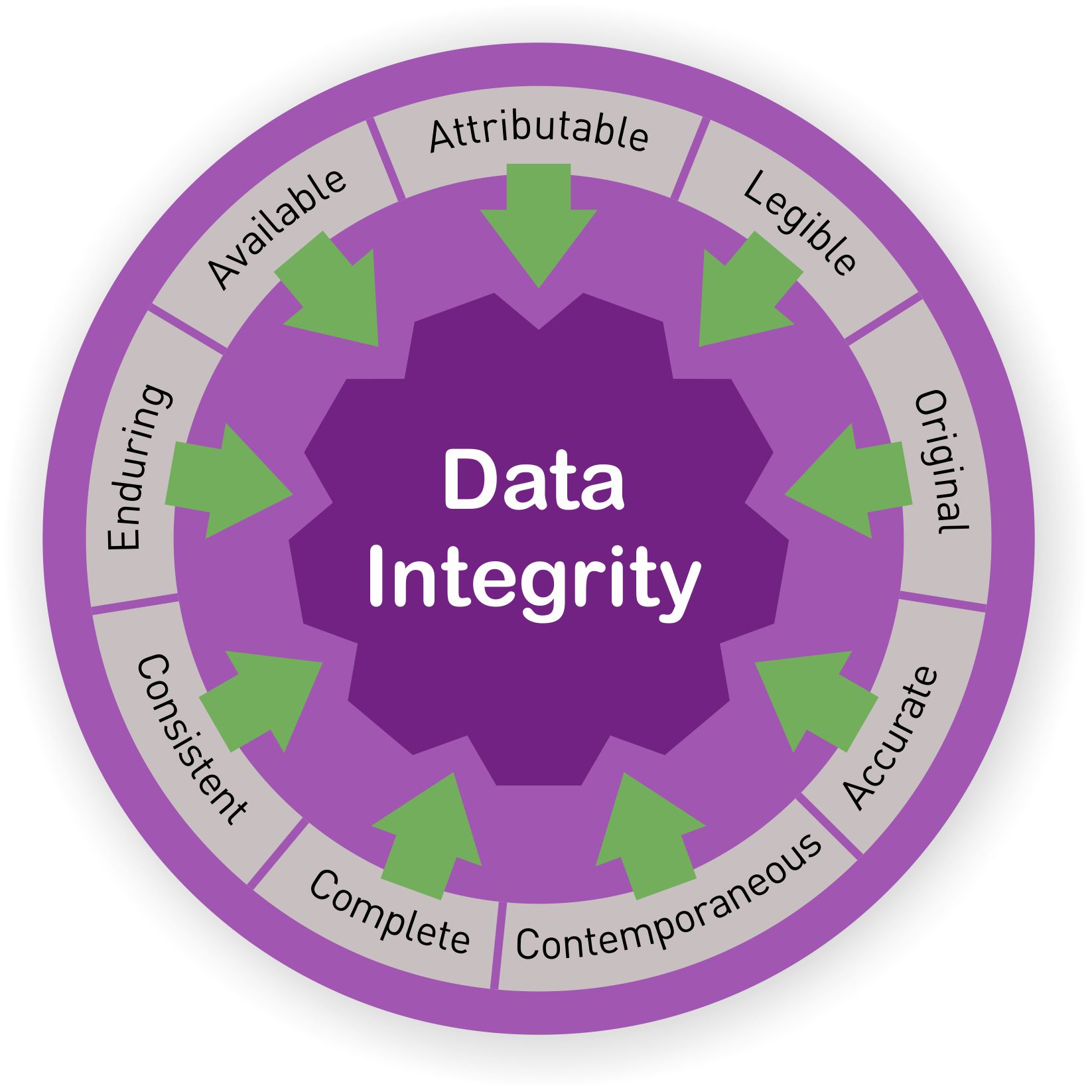 Integrity Plus download the new version for mac