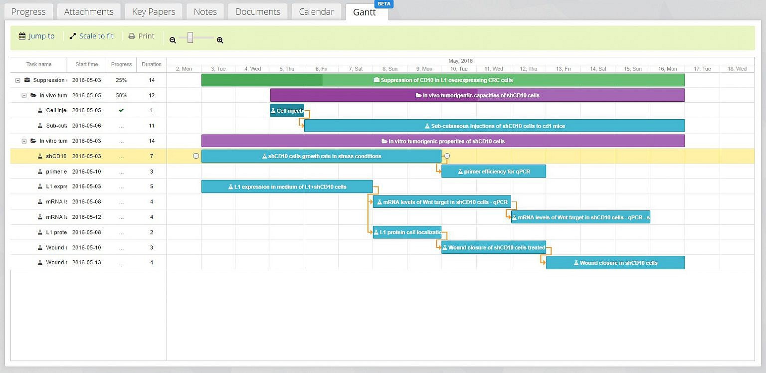 Scientific Project Management with Gantt Charts