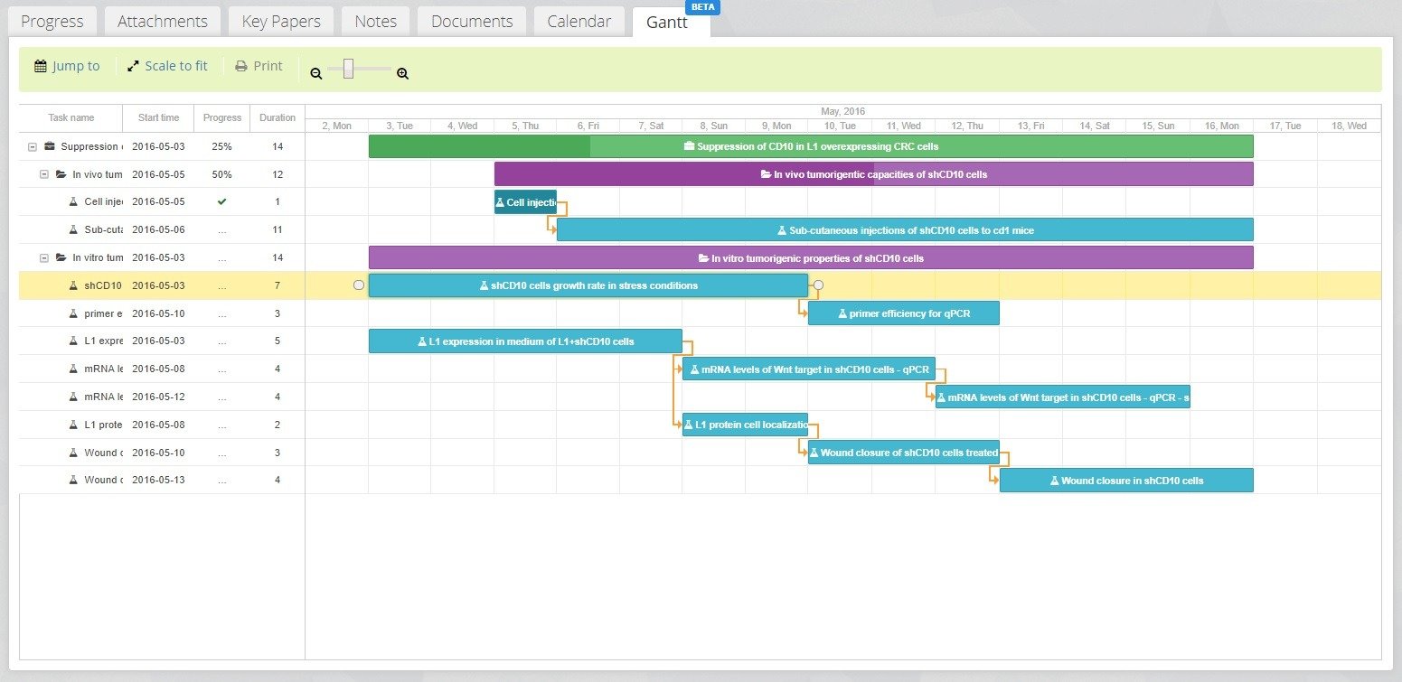 gantt chart scientific research